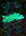Jade the Brand - Home